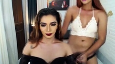 Two Tranny Have Hot Hardcore Sex