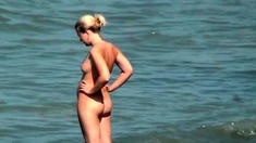 Sexy chicks at the nudist beach