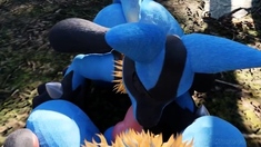 Two Lucarios Together Get Blowjob In Forest