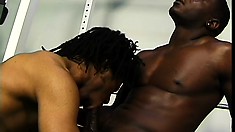 Hunky black studs enjoy lots of sucking and fucking in the gym