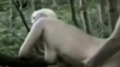 Big tit milf fucked in the woods